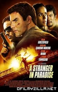 A Stranger in Paradise (2013) poster