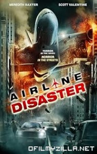 Airline Disaster (2010) poster
