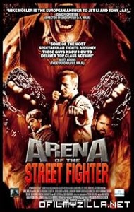 Urban Fighter (2012) poster