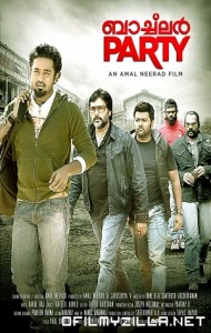 Bachelor Party (2012) poster