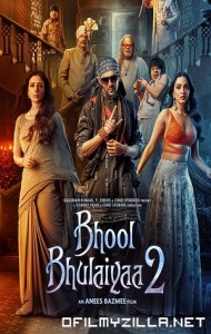 Bhool Bhulaiyaa 2 (2022) poster