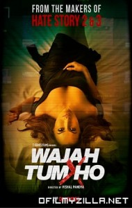 Wajah Tum Ho (2016) poster
