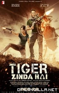 Tiger Zinda Hai (2017) poster
