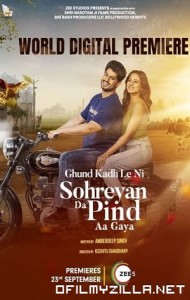 Sohreyan Da Pind Aa Gaya (2022) poster