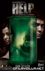 Help (2010) poster
