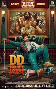 DD Next Level (2025) poster