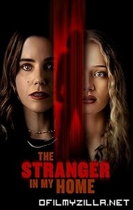 The Stranger in My Home (2025) poster