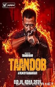 Taandob (2025) poster