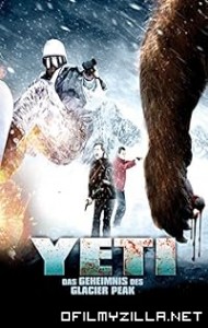Deadly Descent (2013) poster