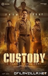 Custody (2023) poster
