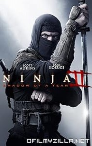 Ninja: Shadow of a Tear (2013) poster